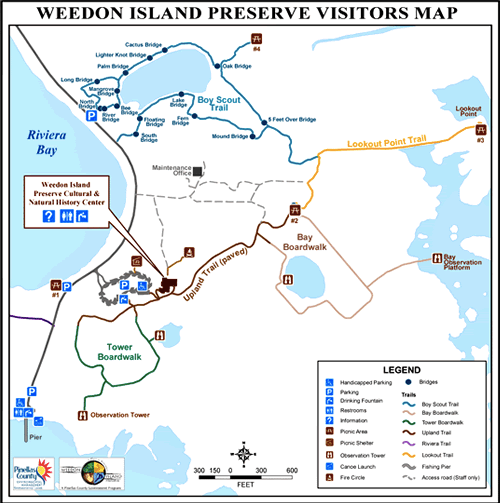 Screen Shot 2018-07-18 at 10.13.51 AM